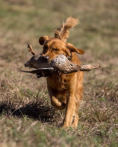 20221008-WCL-0079-Edit.jpg