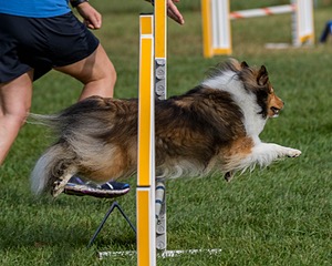 20200819-0152.jpg