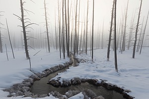 Yellowstone National Park, Montana