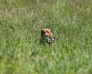 20210606-SEAL-1735.jpg