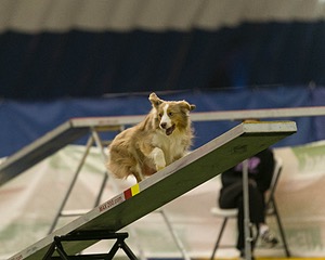 20150321-LEAP-1304.jpg