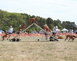 20150614-CCKCMC-0019.jpg