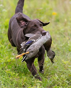 Emma Carter