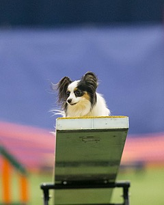 20150321-LEAP-1781.jpg