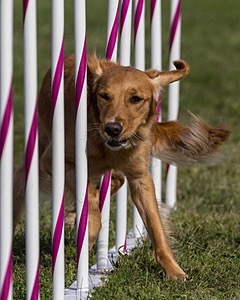 20230916-PVKC-1422.jpg