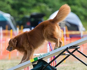 20150614-CCKC-0079.jpg