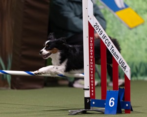 20260221-1008.jpg