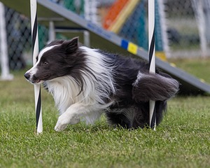 20230917-PVKC-2769.jpg