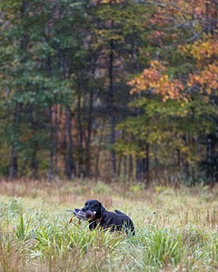 20241013-WCL-0013.jpg