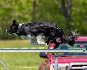 20170520-NEAT-1632.jpg