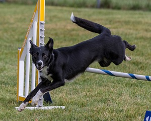 20200819-0239.jpg