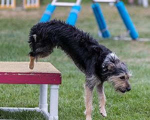 20200819-2897.jpg