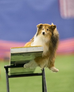 20150321-LEAP-1795.jpg