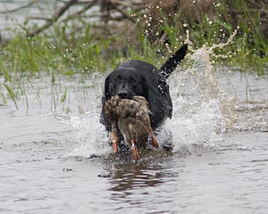 20080531-HRW-1104.jpg