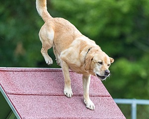 20200819-1873.jpg