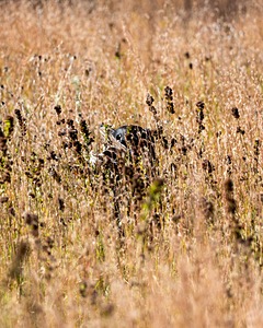 20191005-WCL-0044.jpg