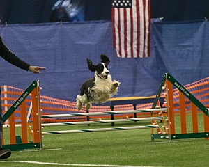 20150321-LEAP-1426.jpg