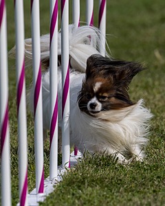 20230916-PVKC-1100.jpg