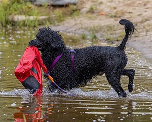 20210912-MWD-0163.jpg