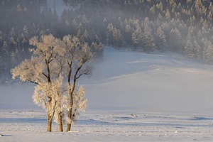 Yellowstone National Park, Montana