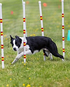 20160515-NEAT-0662.jpg