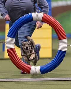 Nova Boentgen
