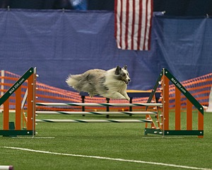 20150321-LEAP-1405.jpg