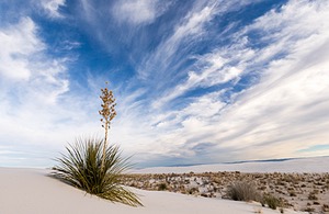 20151208-0092.jpg