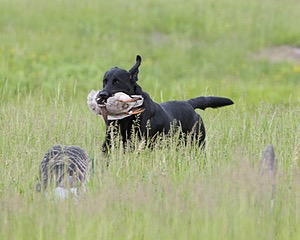 20080531-HRL-0190.jpg