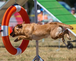 20160619-CCKC-1467.jpg