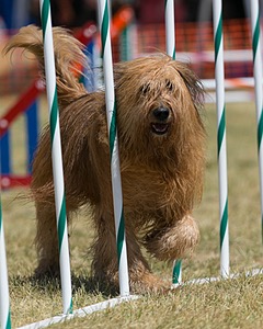 20150614-CCKC-1769.jpg