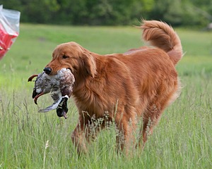 20080531-HRL-0105.jpg