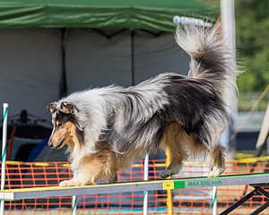 20160618-CCKC-2402.jpg