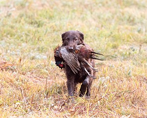 20161008-WCXL-0018.jpg