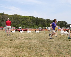 20150612-CCKCMC-0048.jpg