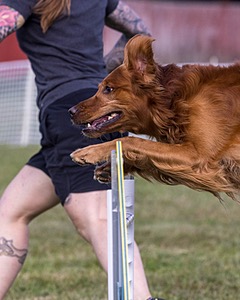 Acro Buzanoski