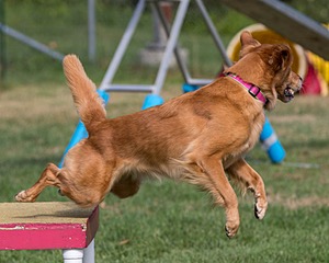 20200819-0516.jpg