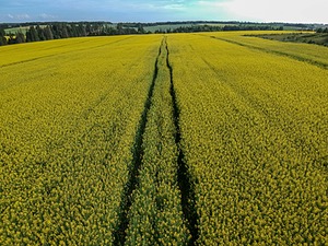 DCIM/101MEDIA/DJI_0119.JPG