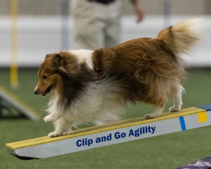 Relay Spooner