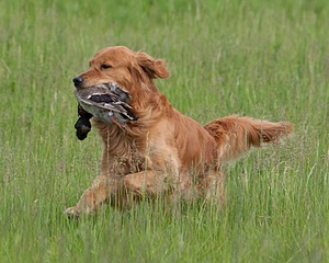 20080531-HRL-0055.jpg