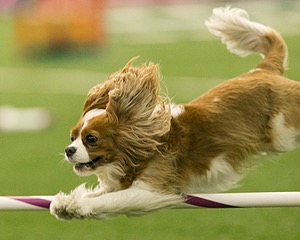 20150321-LEAP-1614.jpg