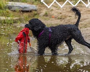 20210912-MWD-0145.jpg