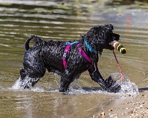 Penny Toby-Ann