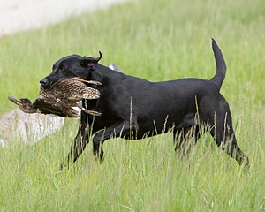 20080531-HRL-0307.jpg