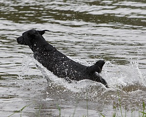 20080531-HRW-0489.jpg