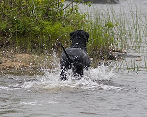 20080531-HRW-0154.jpg