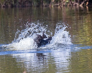 20191005-WCW-0007.jpg