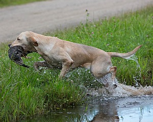 20130713-MHB2-0238.jpg