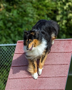 20200819-0574.jpg