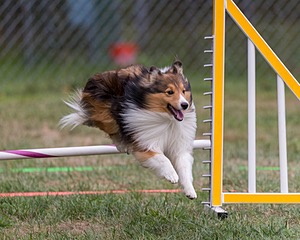 20200819-1825.jpg